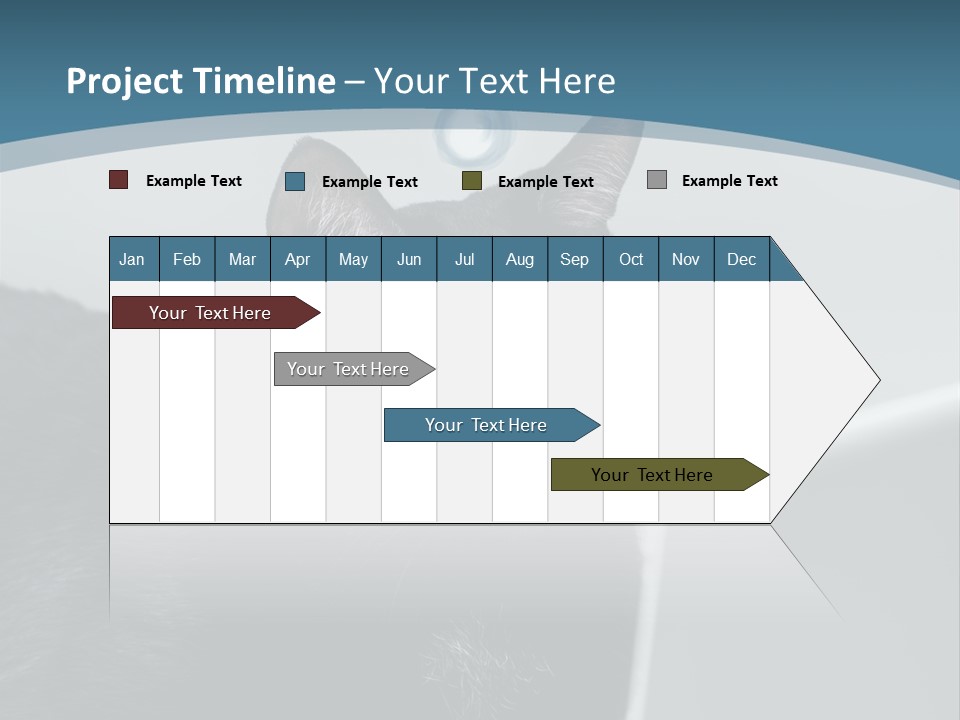Communicating Solid Concept PowerPoint Template
