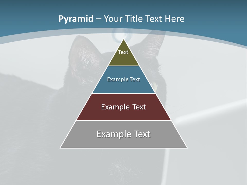 Communicating Solid Concept PowerPoint Template