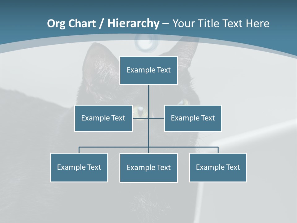 Communicating Solid Concept PowerPoint Template