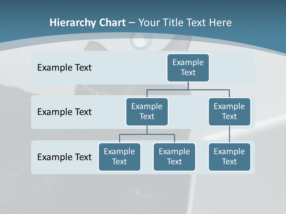 Communicating Solid Concept PowerPoint Template