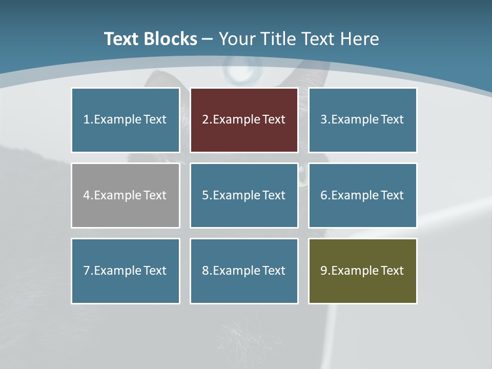 Communicating Solid Concept PowerPoint Template