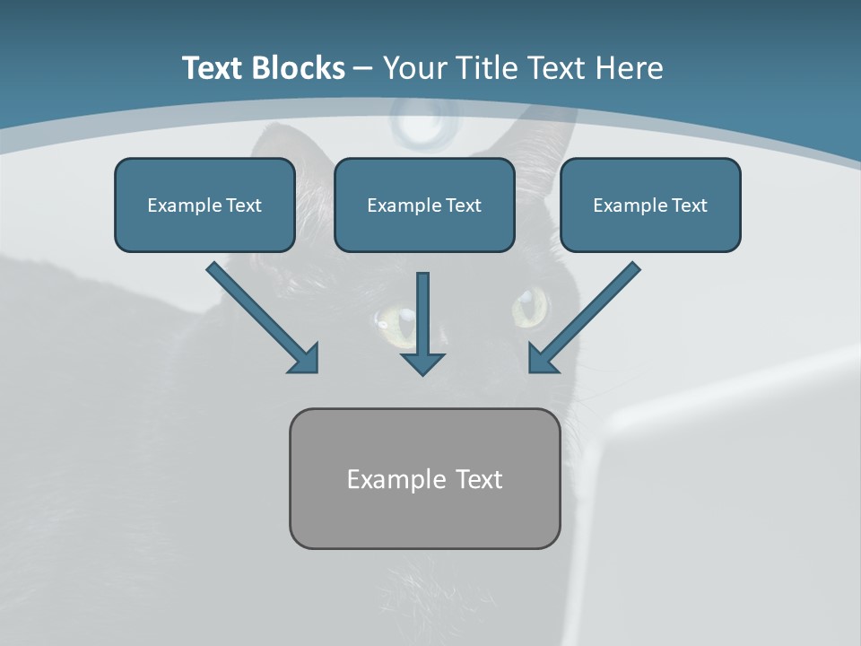 Communicating Solid Concept PowerPoint Template