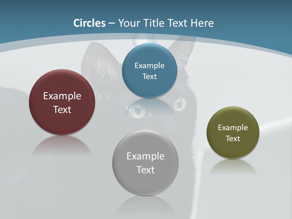 Communicating Solid Concept PowerPoint Template