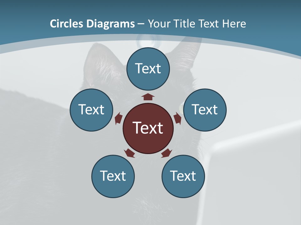 Communicating Solid Concept PowerPoint Template