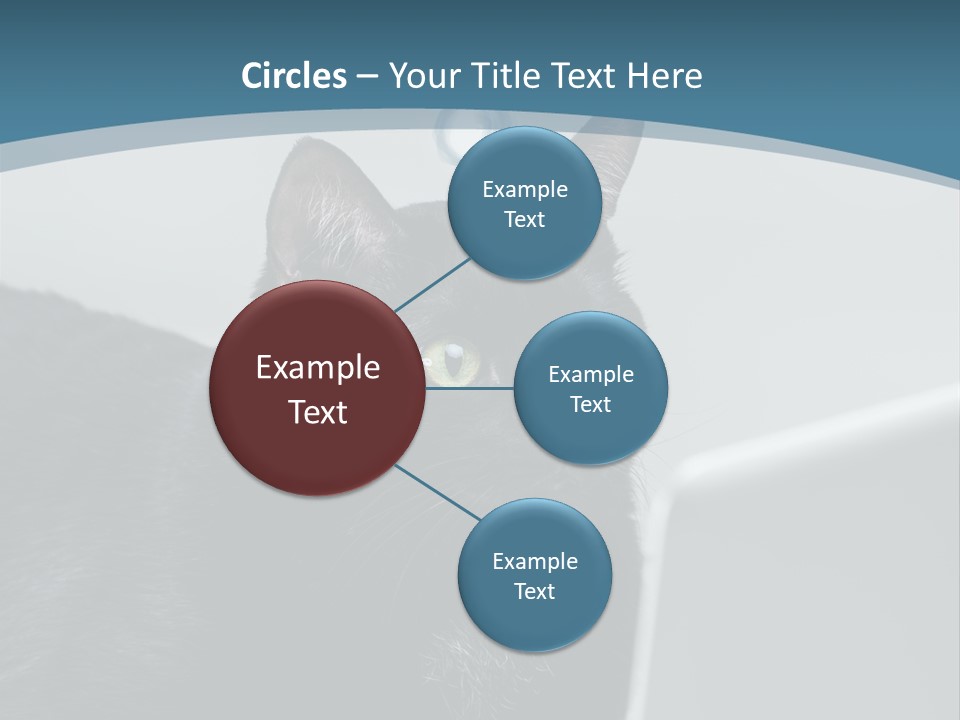 Communicating Solid Concept PowerPoint Template
