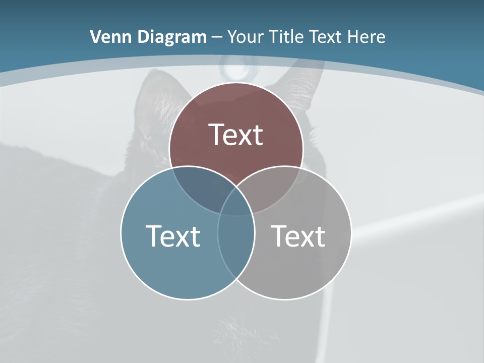 Communicating Solid Concept PowerPoint Template