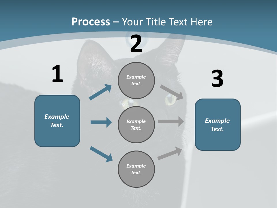 Communicating Solid Concept PowerPoint Template