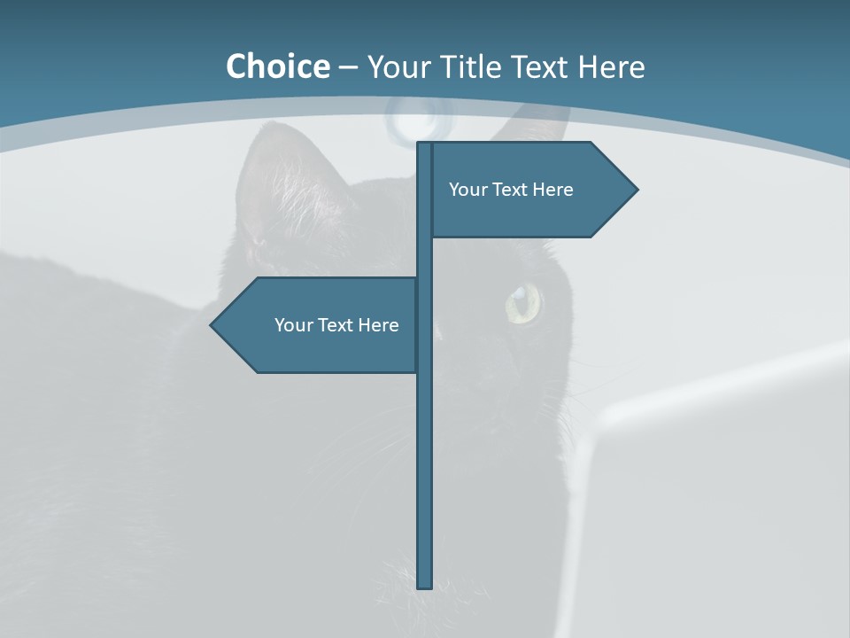 Communicating Solid Concept PowerPoint Template