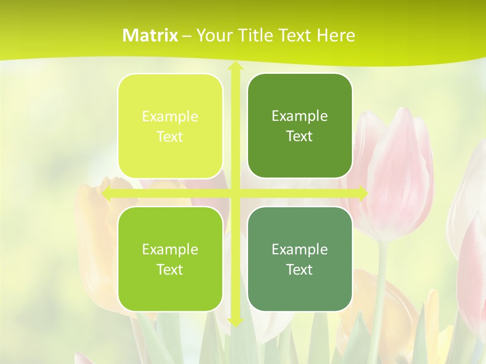 Beauty Sunbeam Colorful PowerPoint Template