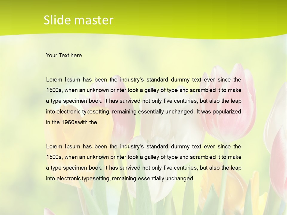 Beauty Sunbeam Colorful PowerPoint Template