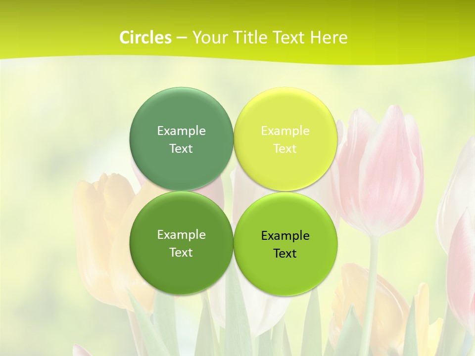 Beauty Sunbeam Colorful PowerPoint Template