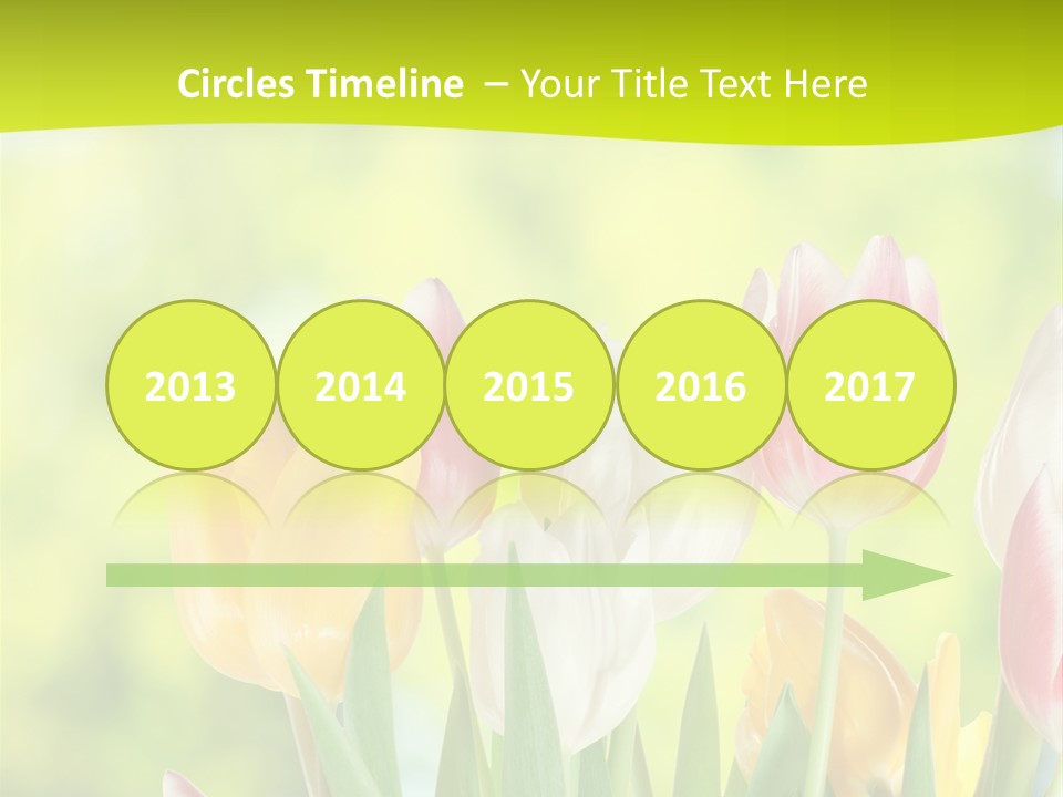 Beauty Sunbeam Colorful PowerPoint Template