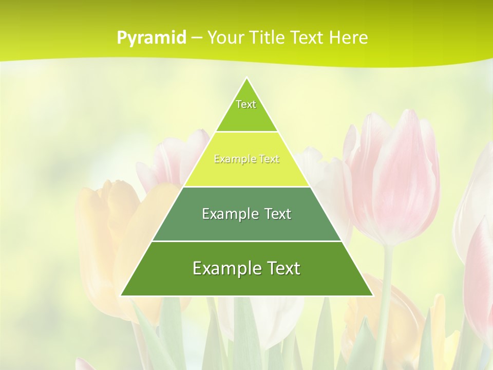 Beauty Sunbeam Colorful PowerPoint Template