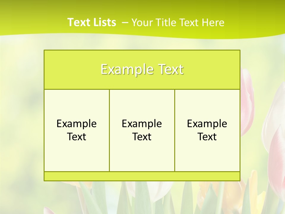 Beauty Sunbeam Colorful PowerPoint Template