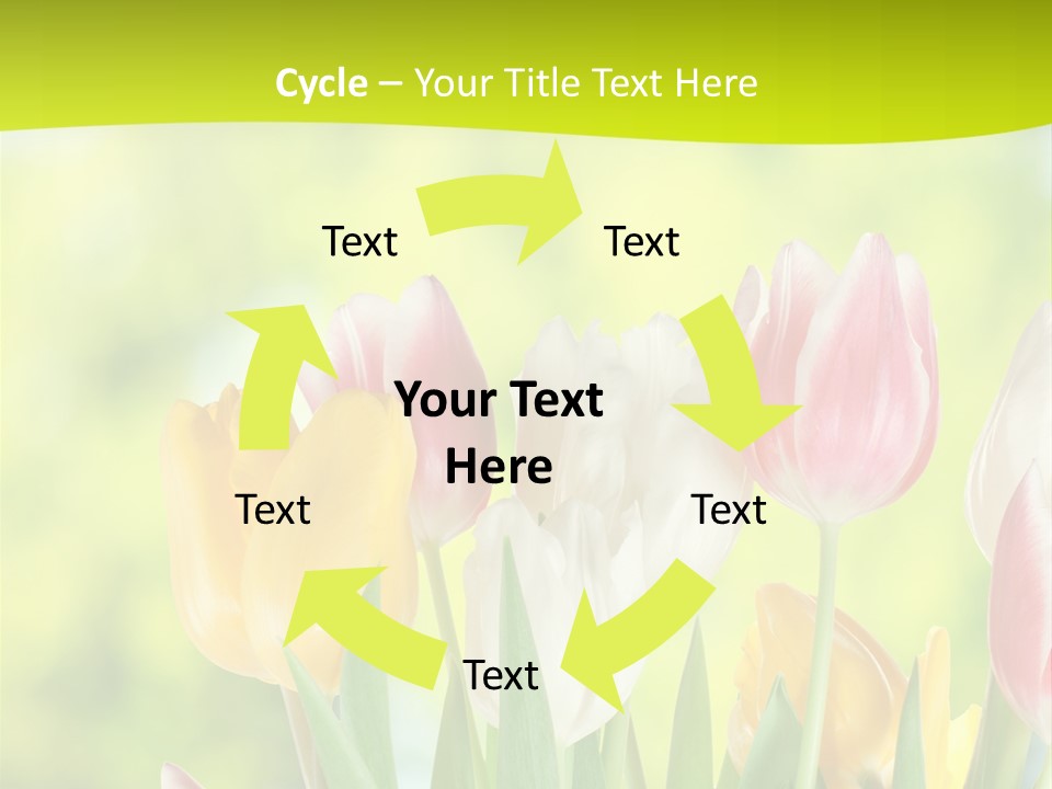 Beauty Sunbeam Colorful PowerPoint Template