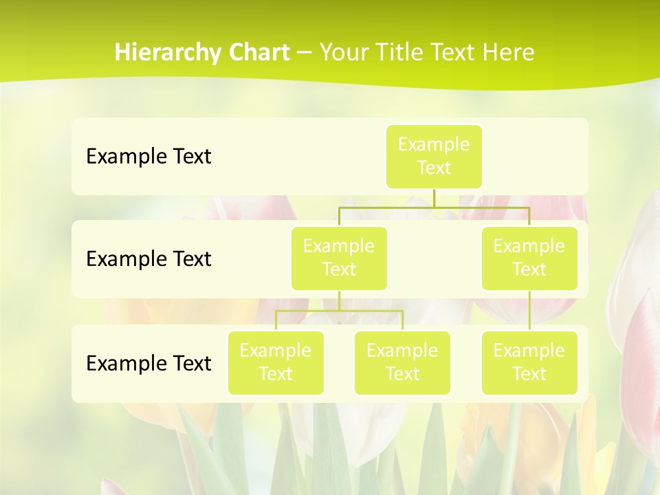 Beauty Sunbeam Colorful PowerPoint Template