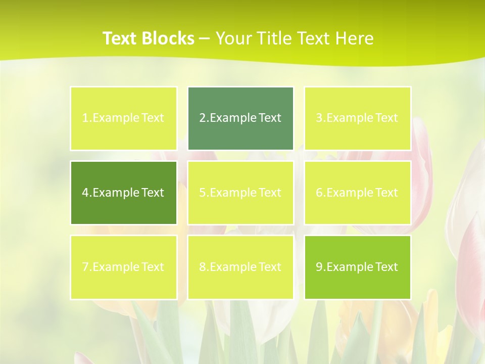 Beauty Sunbeam Colorful PowerPoint Template