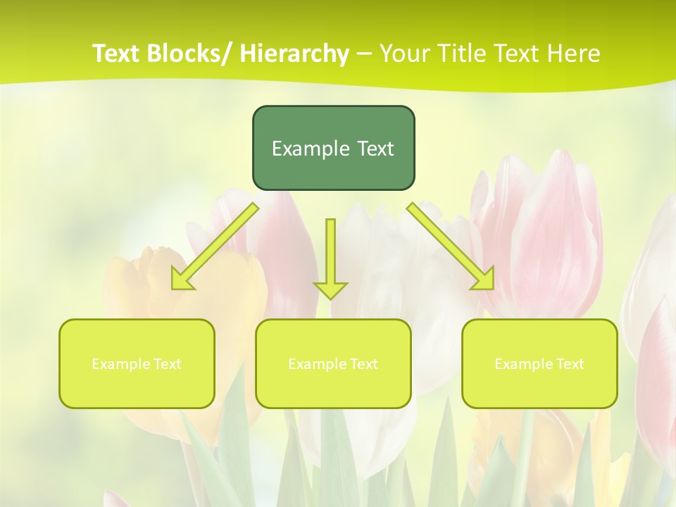 Beauty Sunbeam Colorful PowerPoint Template