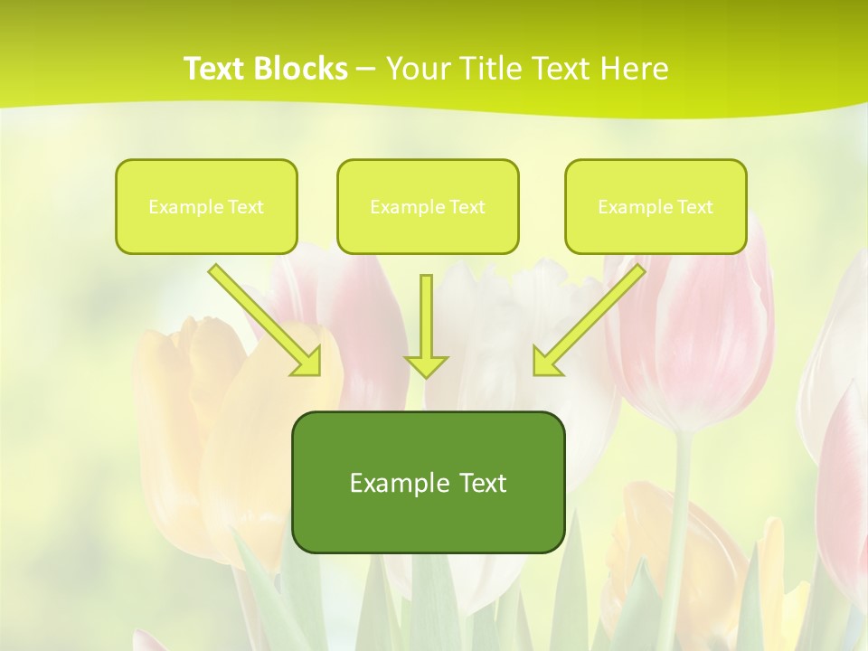 Beauty Sunbeam Colorful PowerPoint Template