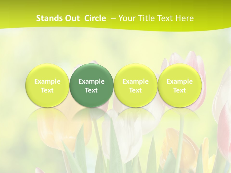 Beauty Sunbeam Colorful PowerPoint Template