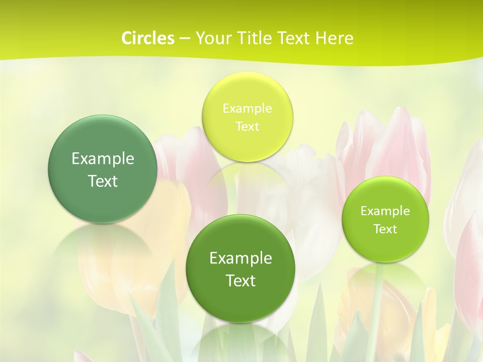 Beauty Sunbeam Colorful PowerPoint Template