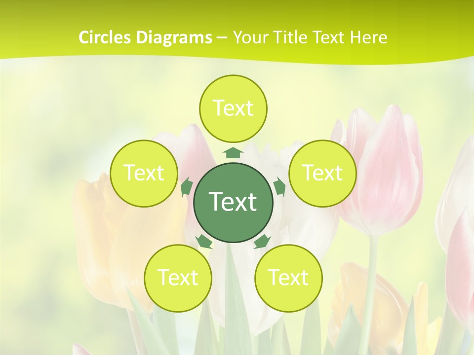 Beauty Sunbeam Colorful PowerPoint Template