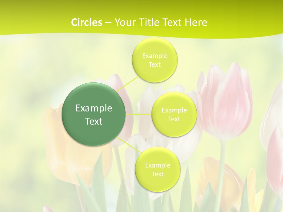 Beauty Sunbeam Colorful PowerPoint Template