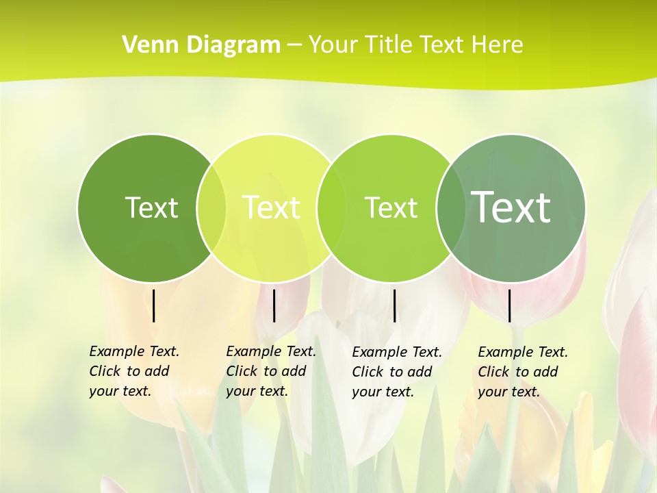 Beauty Sunbeam Colorful PowerPoint Template