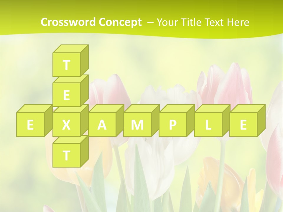 Beauty Sunbeam Colorful PowerPoint Template