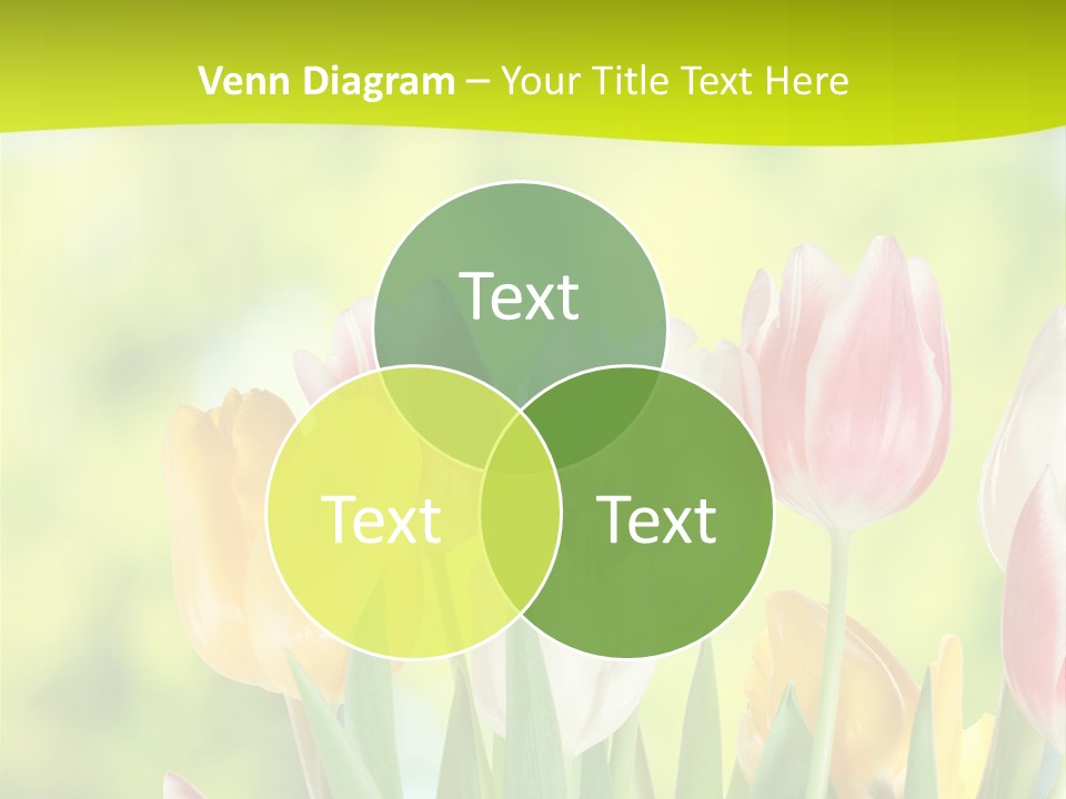 Beauty Sunbeam Colorful PowerPoint Template