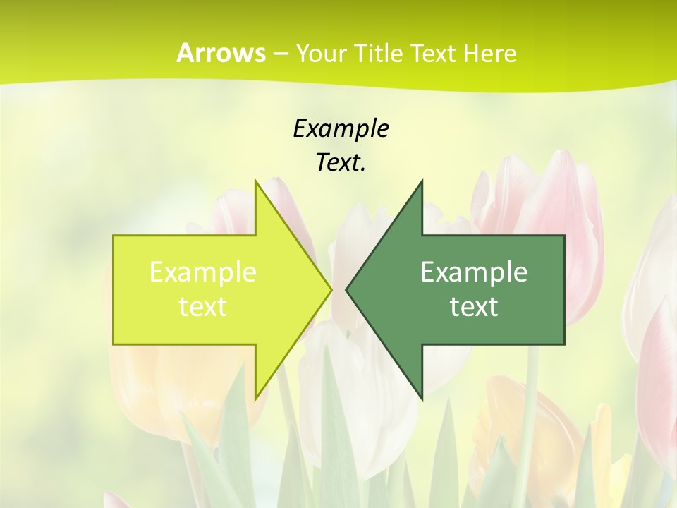 Beauty Sunbeam Colorful PowerPoint Template