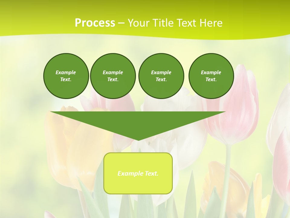 Beauty Sunbeam Colorful PowerPoint Template