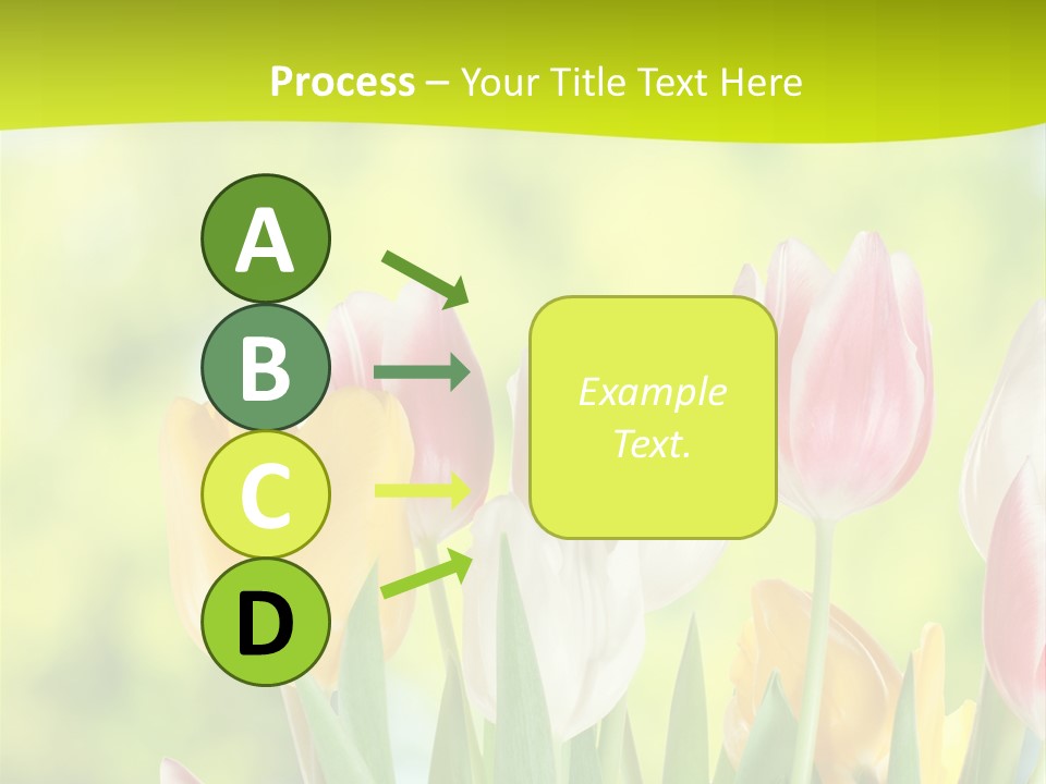 Beauty Sunbeam Colorful PowerPoint Template