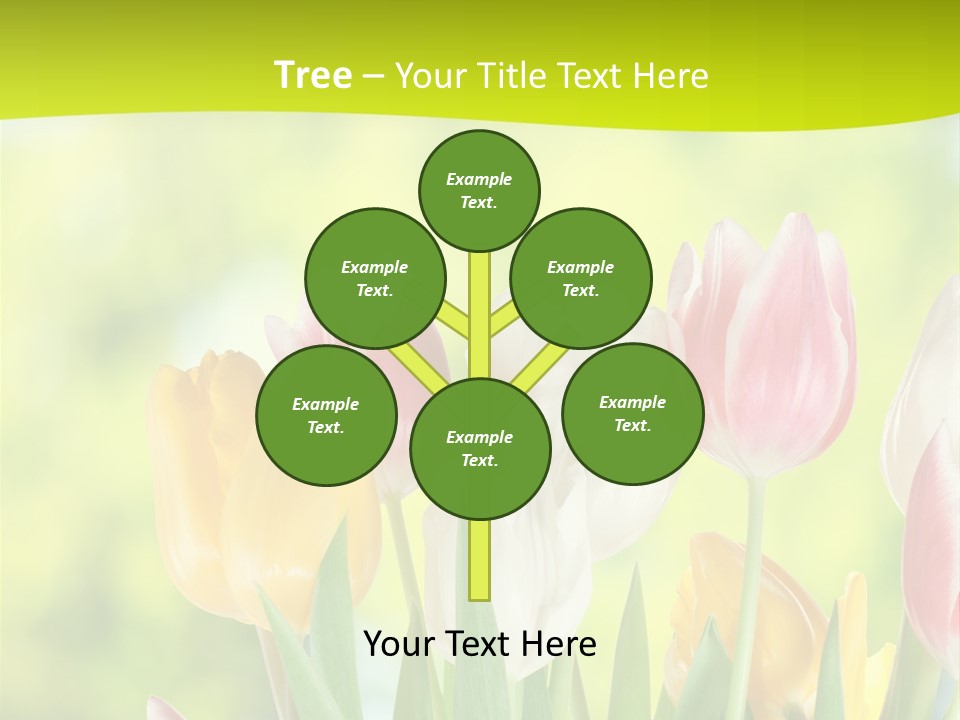 Beauty Sunbeam Colorful PowerPoint Template