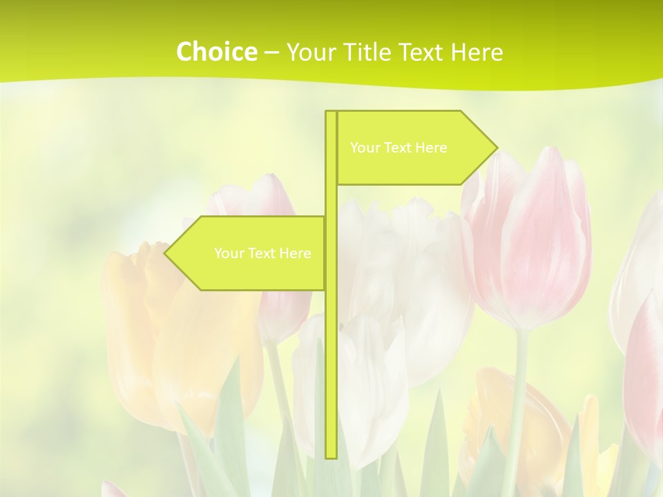 Beauty Sunbeam Colorful PowerPoint Template