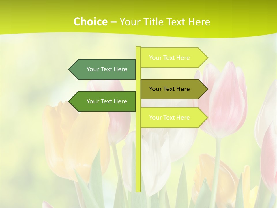 Beauty Sunbeam Colorful PowerPoint Template