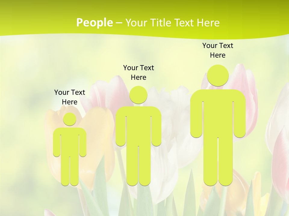 Beauty Sunbeam Colorful PowerPoint Template