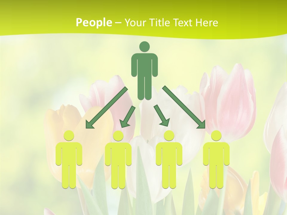 Beauty Sunbeam Colorful PowerPoint Template