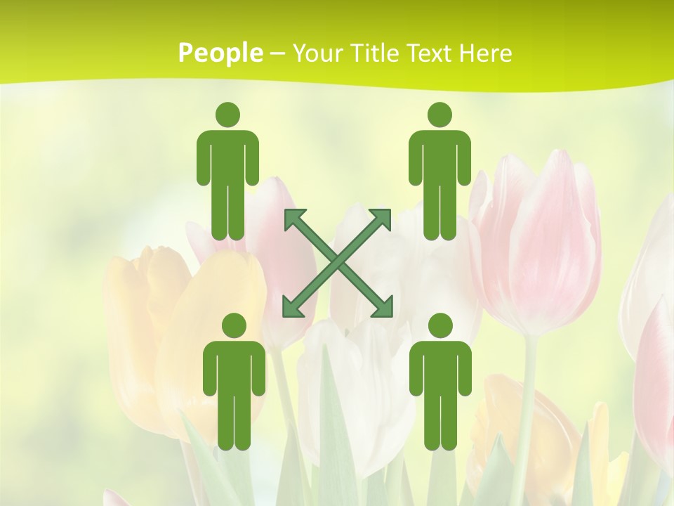 Beauty Sunbeam Colorful PowerPoint Template