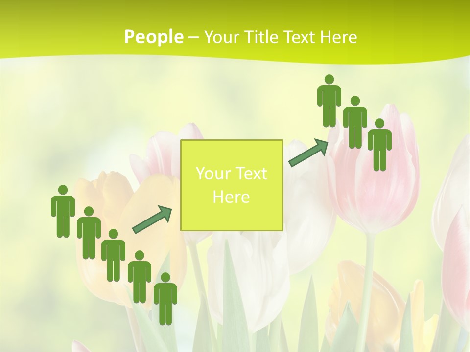 Beauty Sunbeam Colorful PowerPoint Template