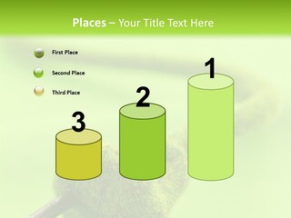 Ecological Plug Environmental PowerPoint Template