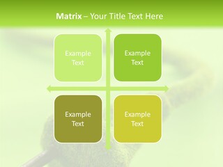 Ecological Plug Environmental PowerPoint Template