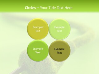 Ecological Plug Environmental PowerPoint Template