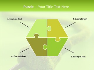 Ecological Plug Environmental PowerPoint Template