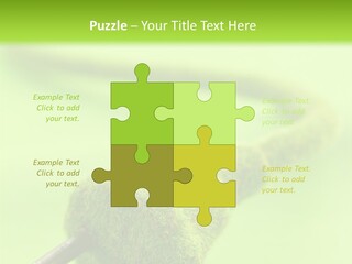 Ecological Plug Environmental PowerPoint Template