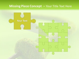 Ecological Plug Environmental PowerPoint Template