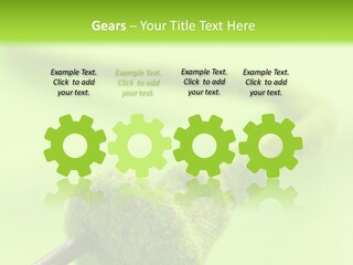 Ecological Plug Environmental PowerPoint Template