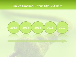 Ecological Plug Environmental PowerPoint Template