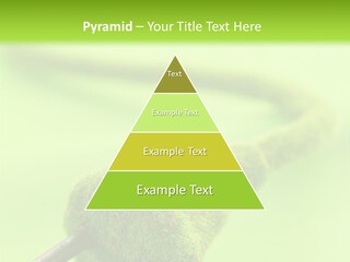 Ecological Plug Environmental PowerPoint Template
