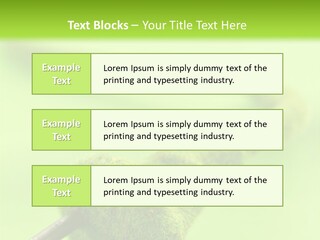 Ecological Plug Environmental PowerPoint Template